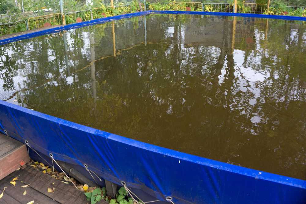  Swimming Pool Removal Florida